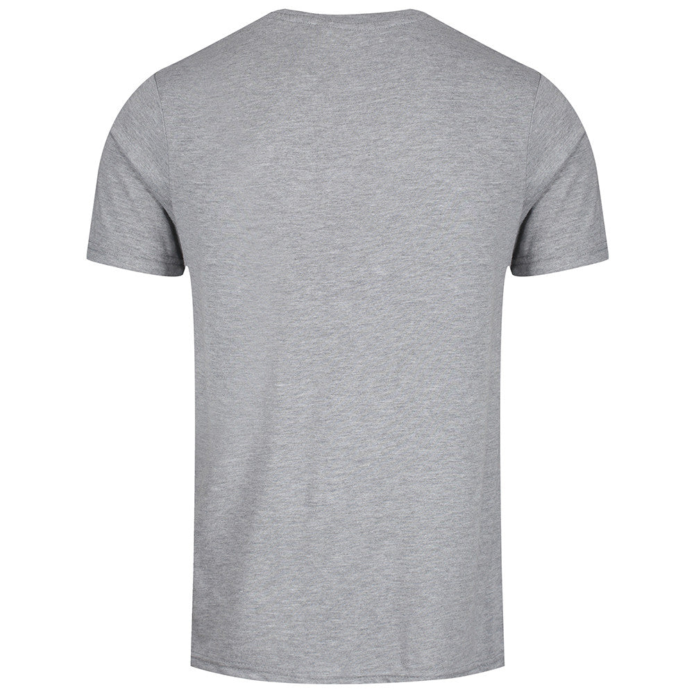 Triblend T-Shirt Grey